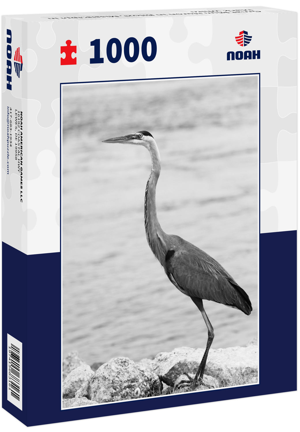 Great Blue Heron in Biloxi, Mississippi in black white