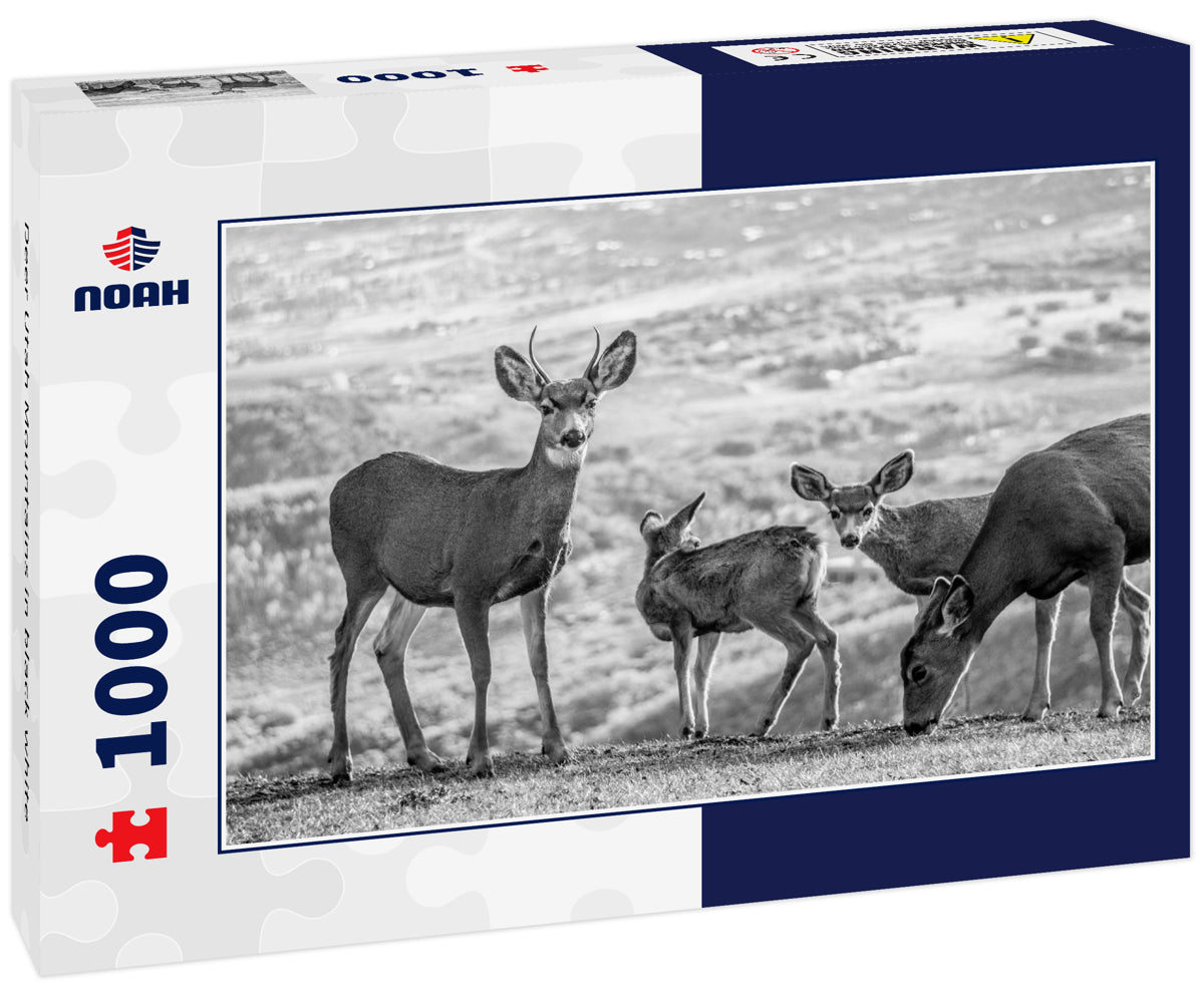 Deer Utah Mountains in black white