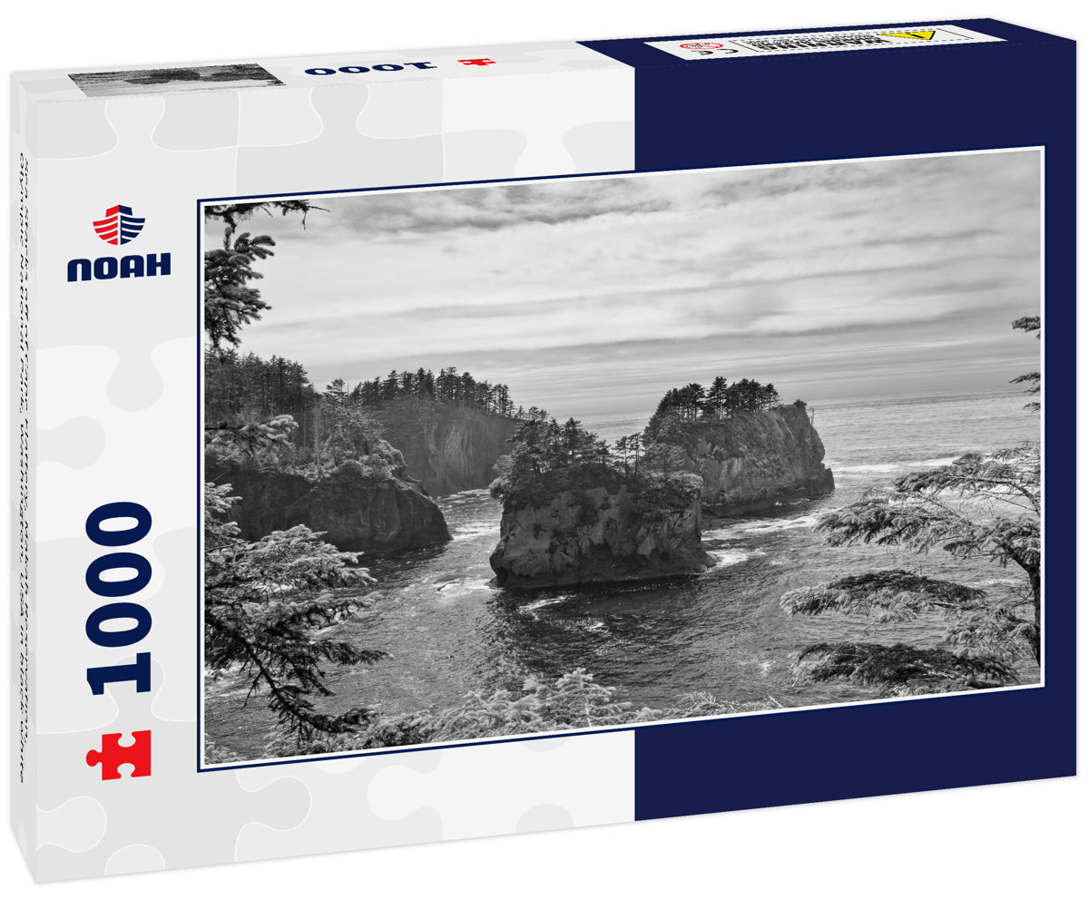 Sea Stacks off of Cape Flattery, Makah Reservation, Olympic National Park, Washington, USA in black white