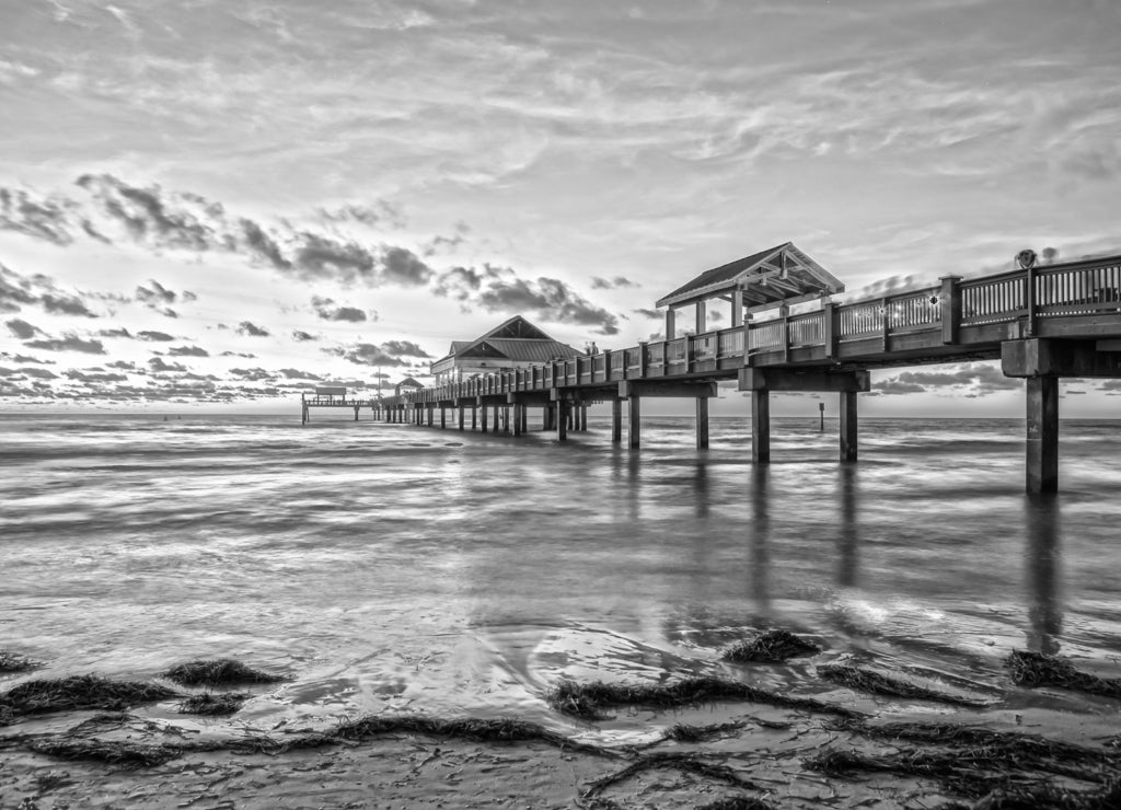 Sunset at Clearwater Beach Florida in black white