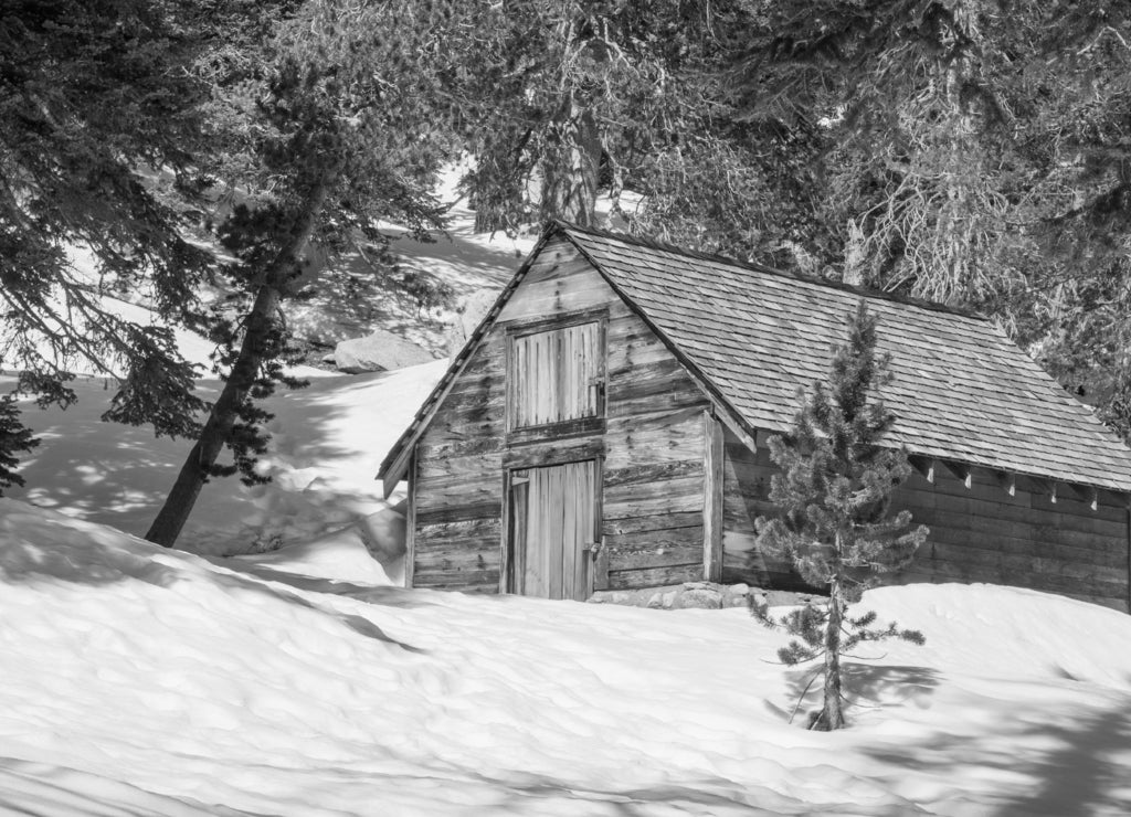 Locked Wooden Cabin on Mount San Jacinto, San Bernardino National Forest, California in black white