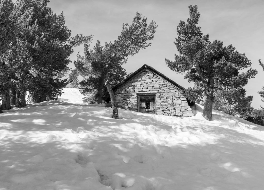 Refuge close to Mount San Jacinto peak, San Bernardino National Forest, California in black white