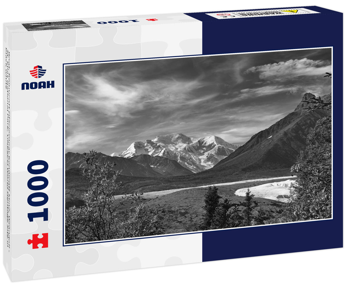 Root, Kennicott Glaciernear Kennicott Mine, Wrangell - St. Elias National Park, UNESCO World Heritage Site in black white