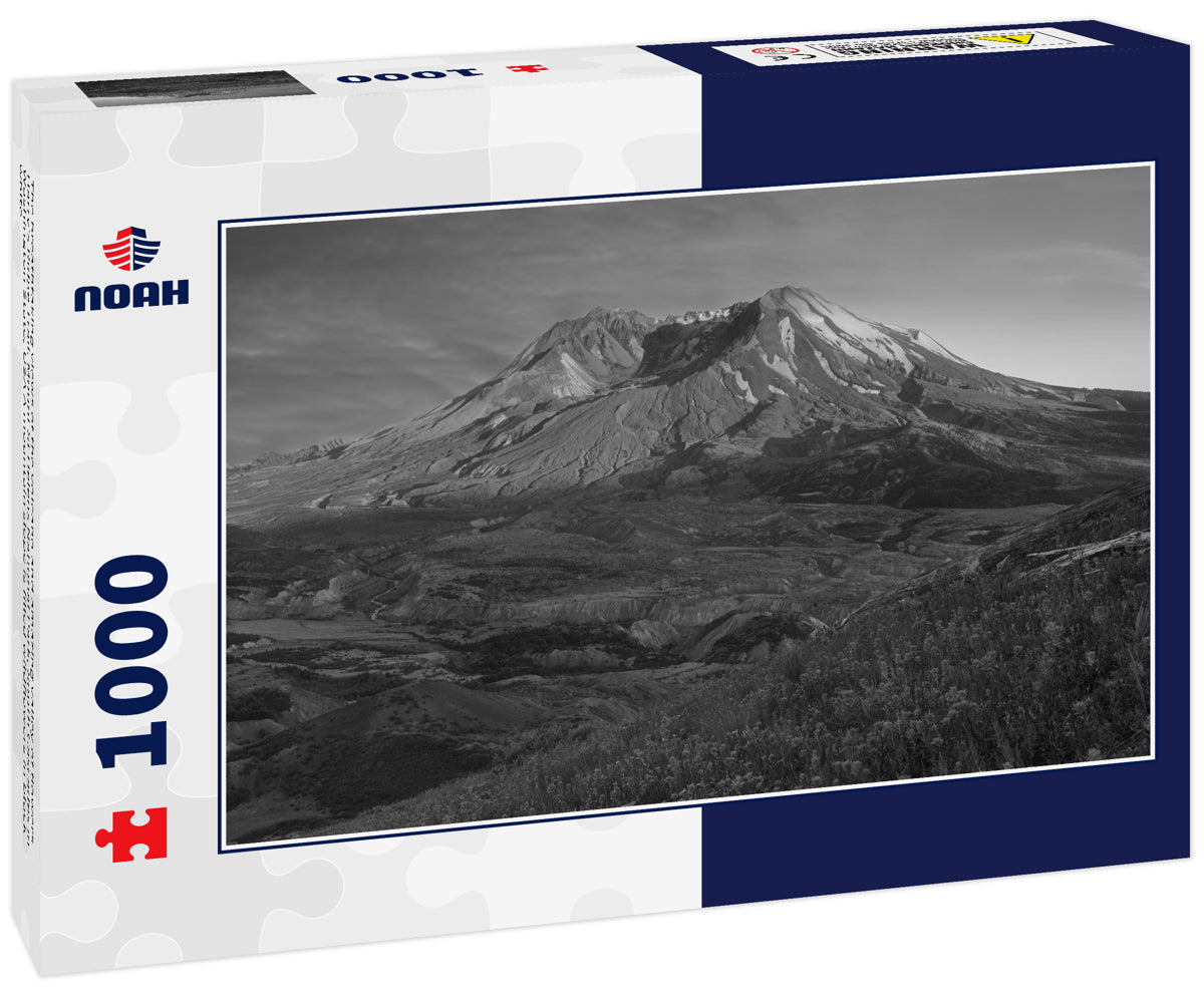 The breathtaking views of the volcano and amazing valley of flowers. Harry's Ridge Trail. Mount St Helens National Park, South Cascades in Washington State, USA A mountain slope is filled wildflowers in black white