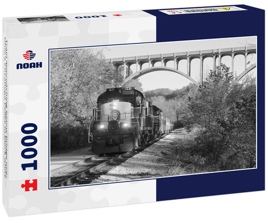 Train approaching below bridge over Ohio's Cuyahoga Valley in black white