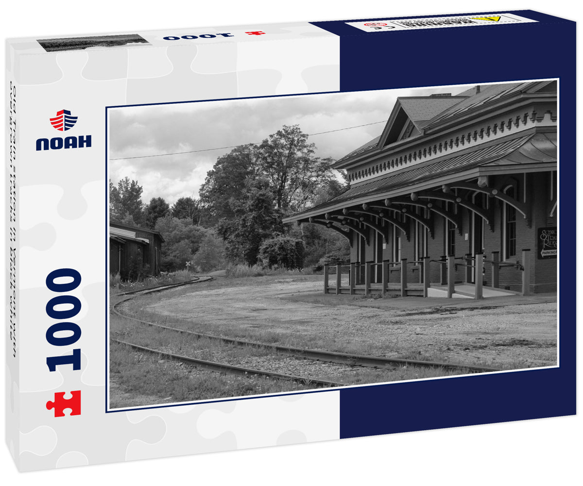 Old Train station in Vermont with overgrown tracks in black white