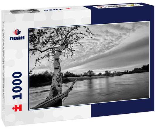 Vibrant landscape of the Feather RIver in Butte County, California with a pink and orange sunset in the background in black white