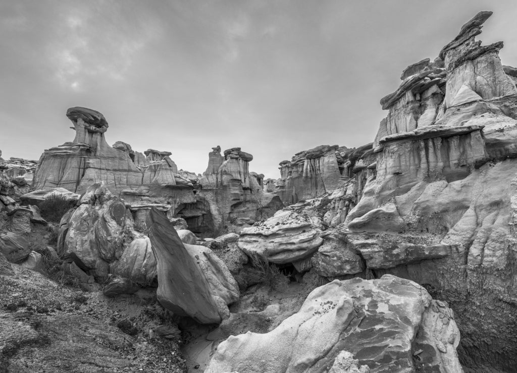 Bisti/De-Na-Zin Wilderness, New Mexico, USA in black white