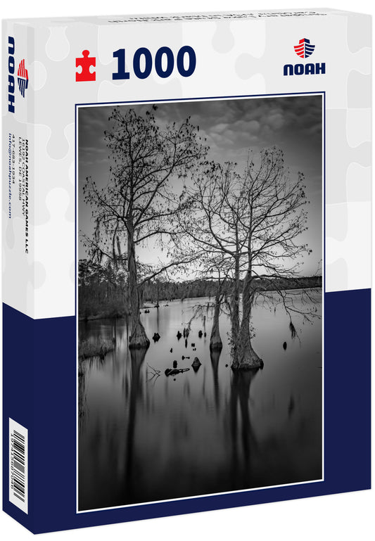 Singletary Lake State Park,North Carolina ,USA in black white