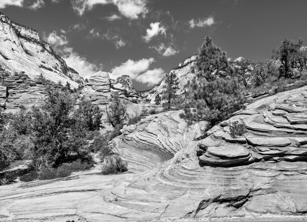 Landscape of Zion National Park along Pine Creek, Utah in black white