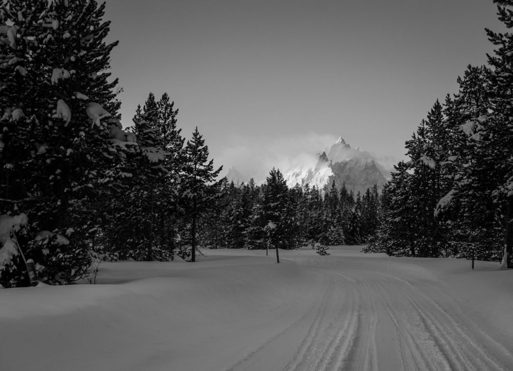 A road winds through the snowy trees in Grand Teton National Park, Wyoming in black white