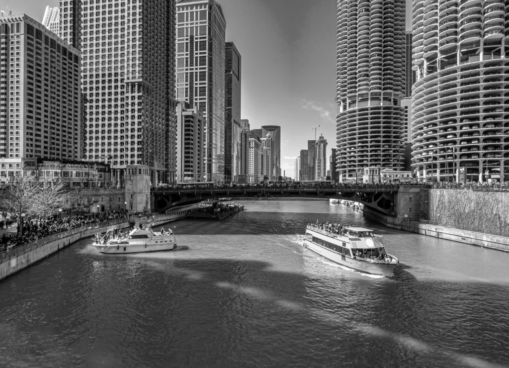 Chicago building and cityscape on Saint Patrick's day, Illinois in black white