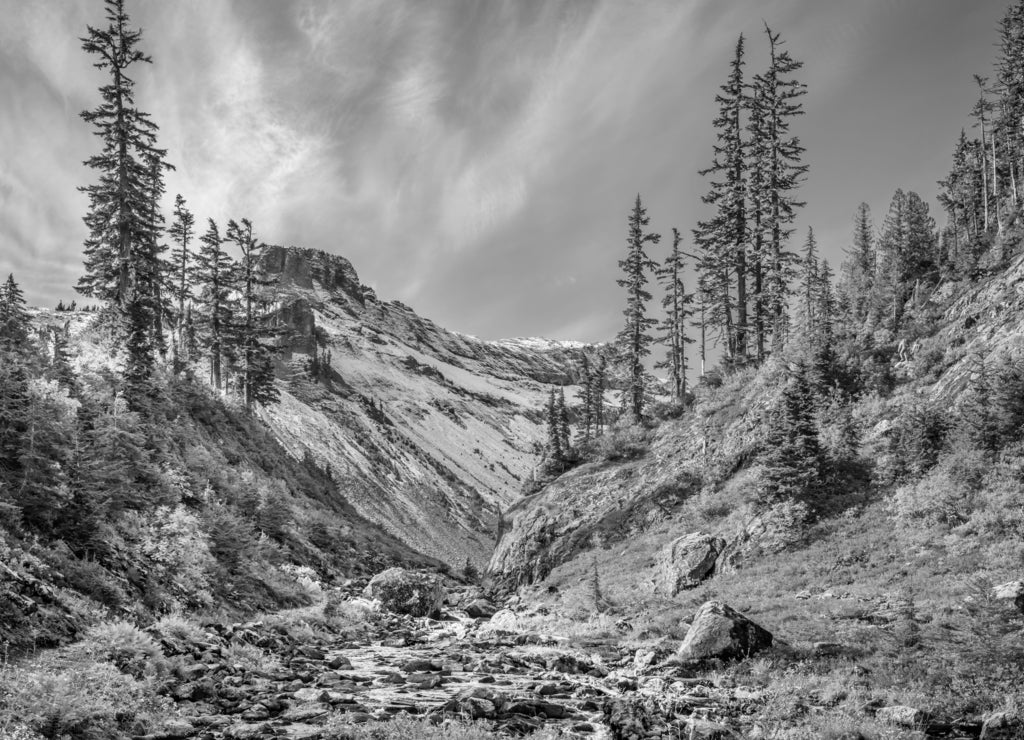 Beautiful Mountain River at the Bagley Lake Trail Park. Mount Baker, Washington, USA in black white