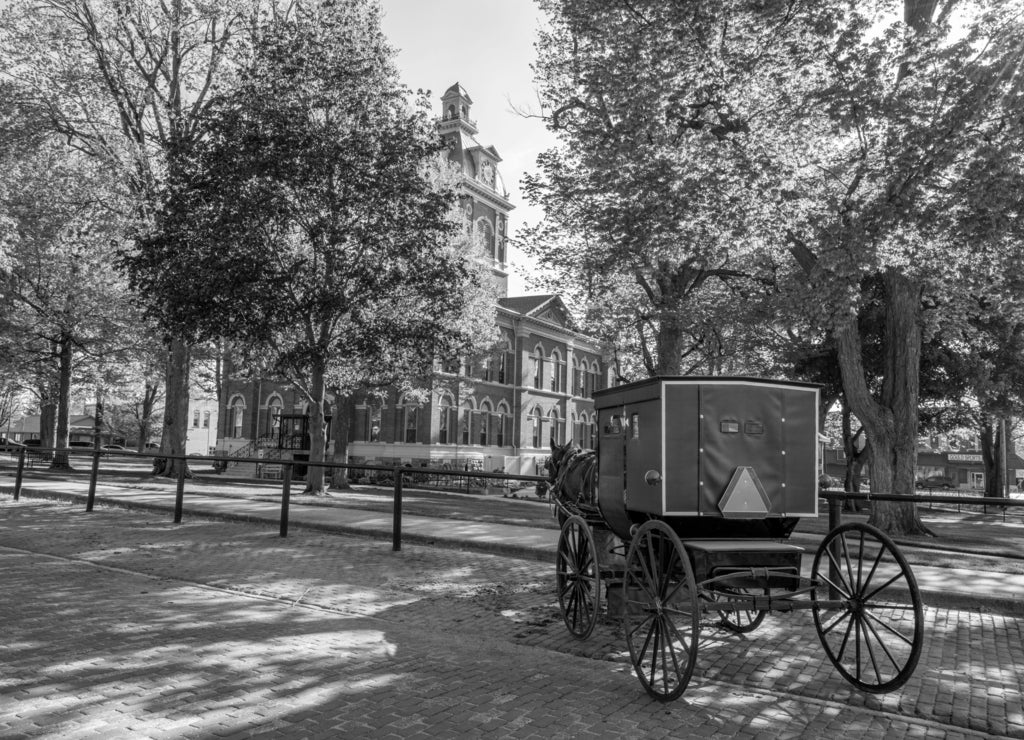 Amish Buggy at the LaGrange County, Indiana, Courthouse in black white