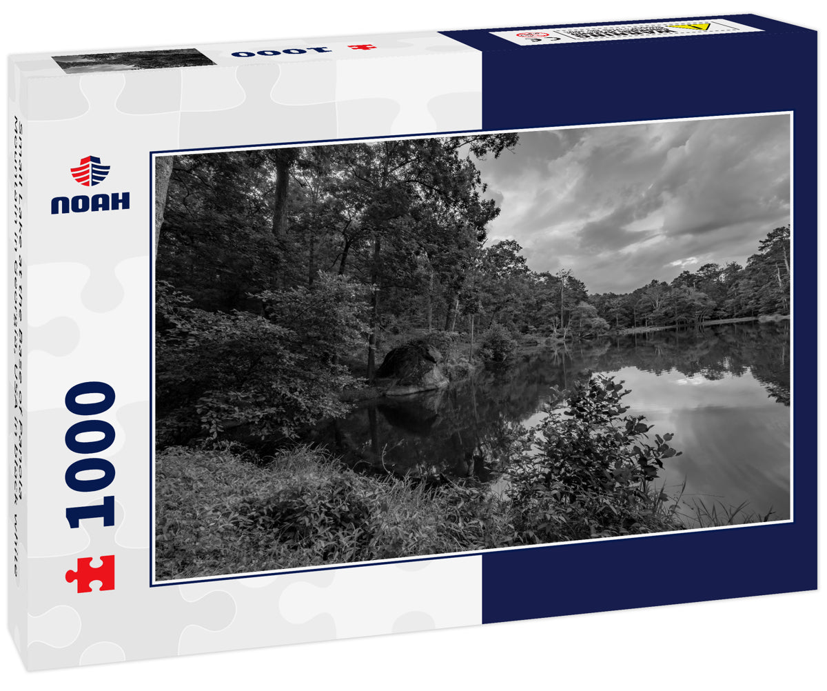 Small Lake at the Base of Panola Mountain in Georgia, USA in black white