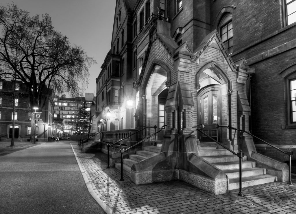 Outside in Harvard Yard at Sunset in Cambridge Massachusetts in black white
