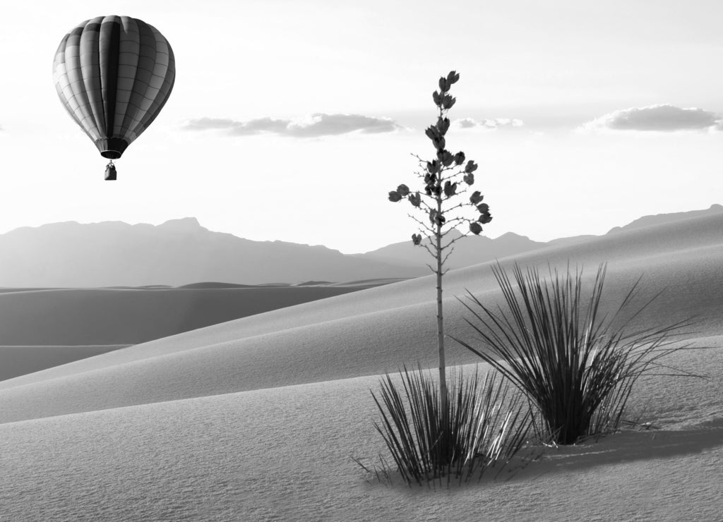 Hot Air Balloon Over the Dunes of White Sands at Sunrise, New Mexico in black white