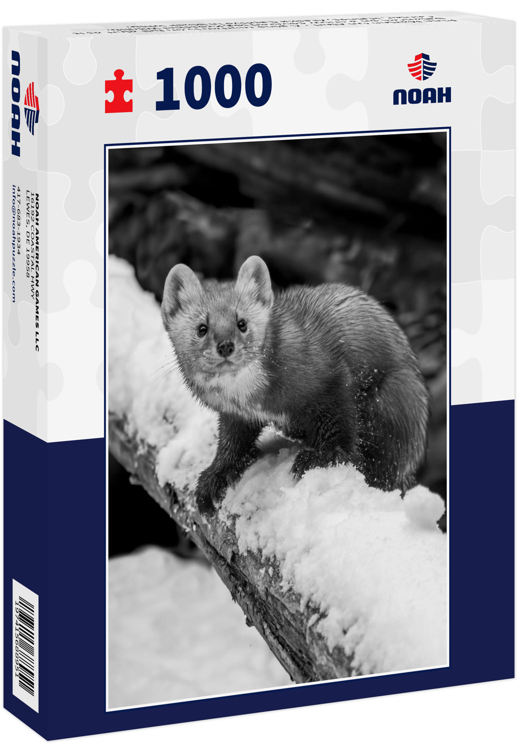 Pine Marten On Alert - A pine marten is on full alert as it balances on a snow covered log Kroschel Wildlife Center, Haines, Alaska Captive in black white