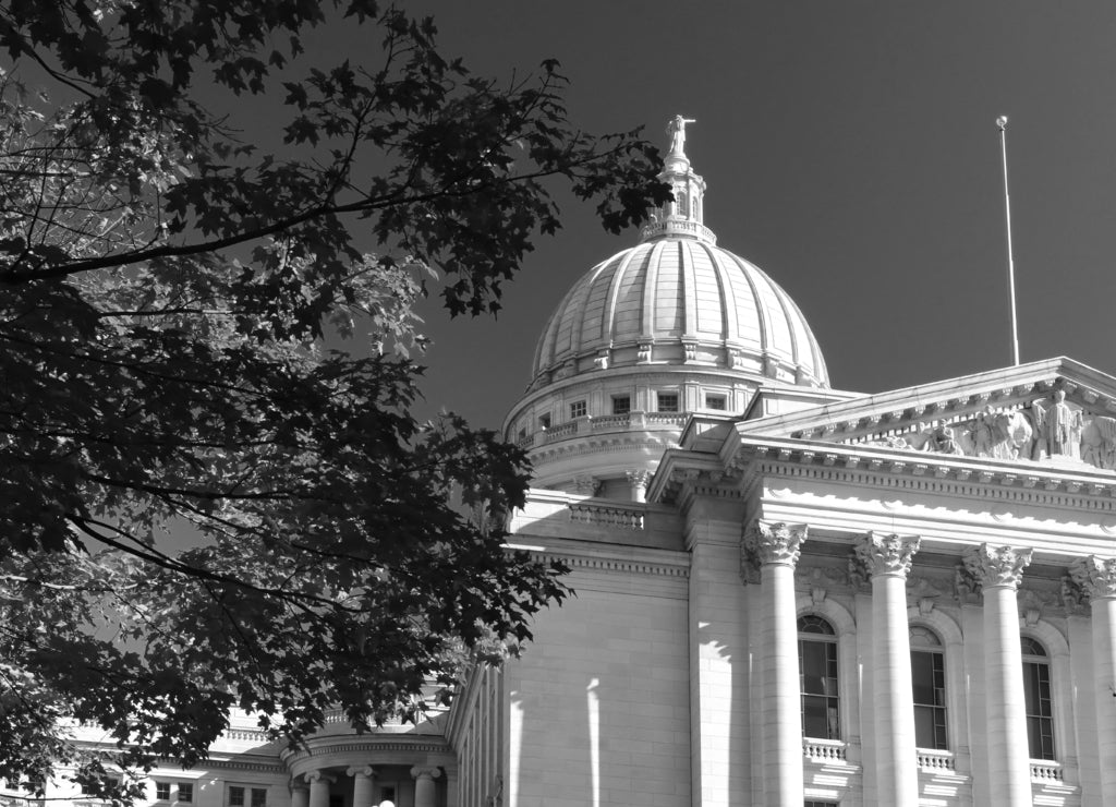 State Capitol Building in sunlight.Scenic view with Wisconsin Capitol building and bright red color maple tree branch in a blue sky background during sunny autumn day. Madison, Wisconsin, Midwest USA in black white
