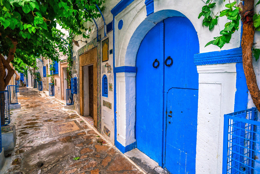 Noah Jigsaw Puzzle Hammamet Medina streets with blue walls. Tunis, North Africa 2000 pieces