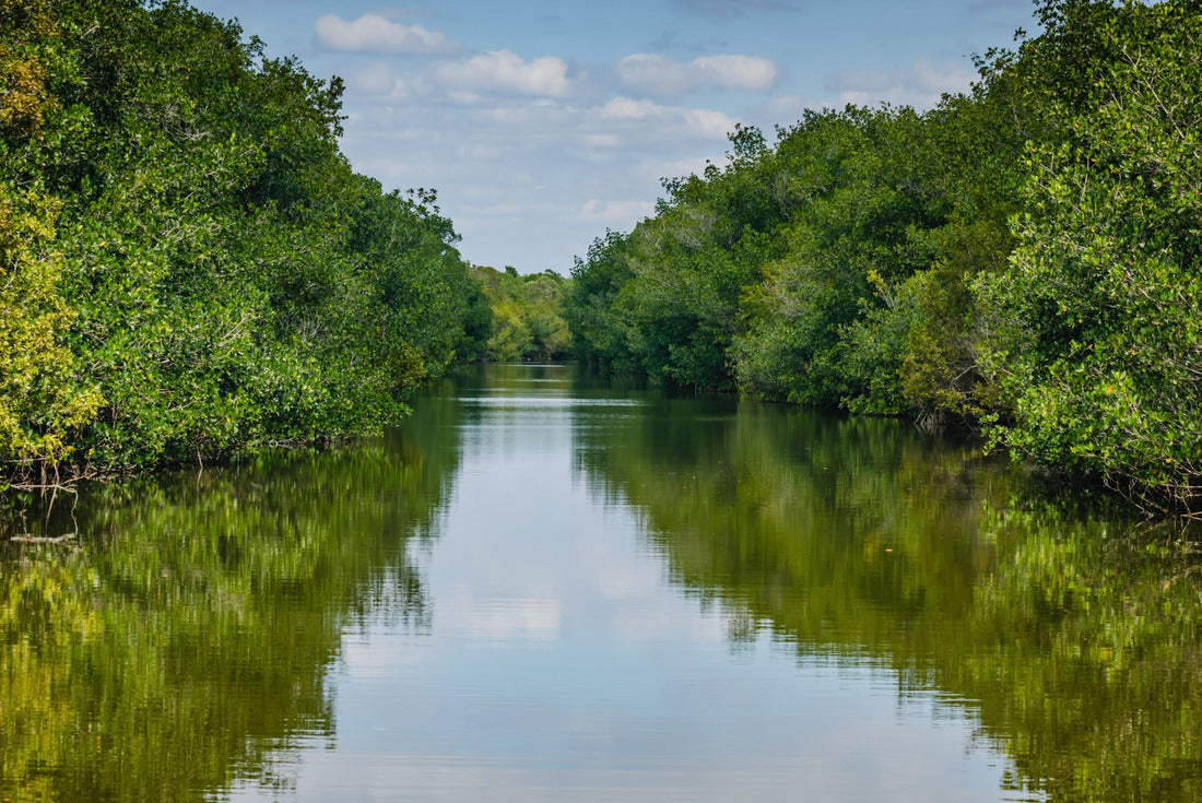 Sky and trees reflected on the lagoon at Biscayne National Park 2000pc Puzzle