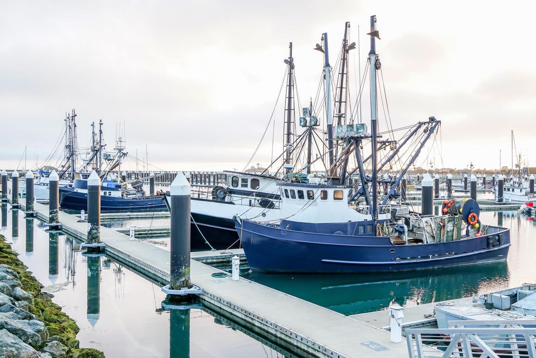 A harbor in Crescent City California 2000pc Puzzle