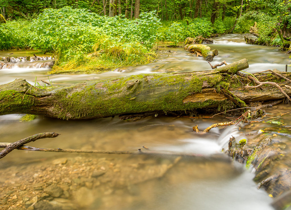 Photographed in Decorah, Iowa
