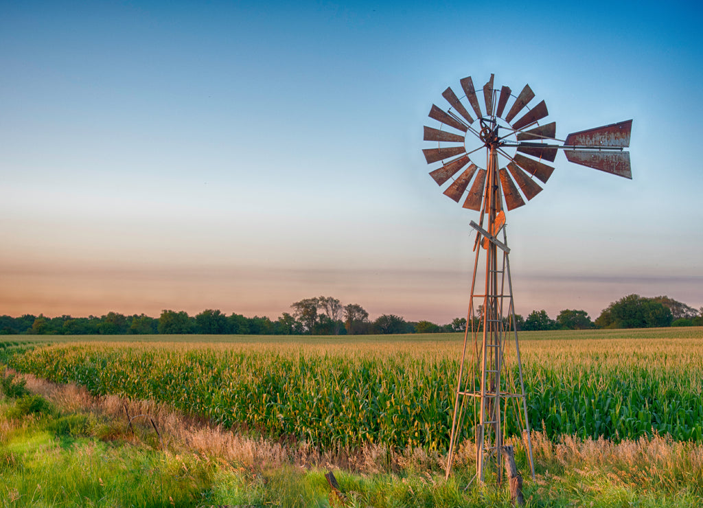 Vintage windmill at sunset with cornfield