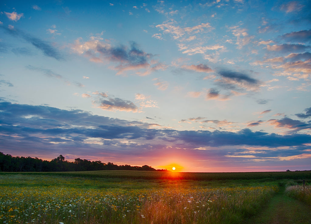 Sunrise at Fort Defiance State Park in the Summer, Iowa