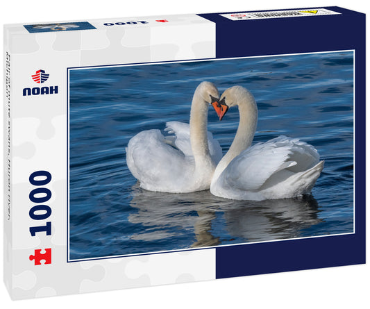 Pair of mute swans, Huron river, Michigan