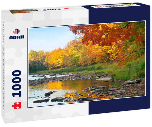 River with rocks near trees in fall color in northern Michigan