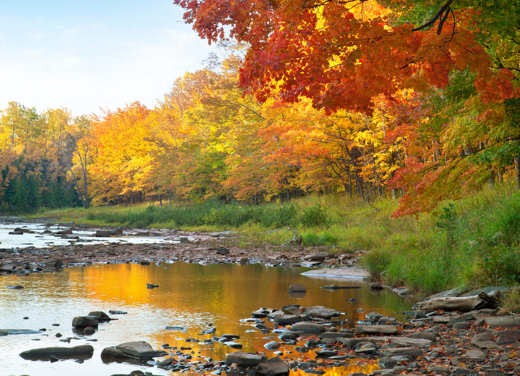 River with rocks near trees in fall color in northern Michigan