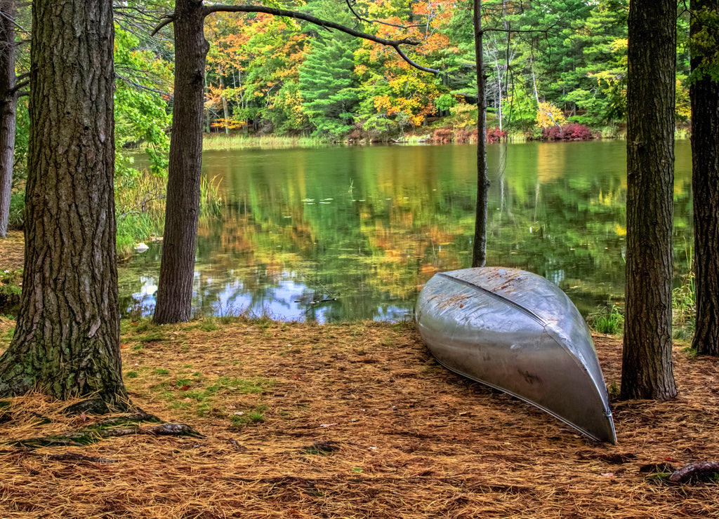 Canoe Ludington State Park. Ludington, Michigan