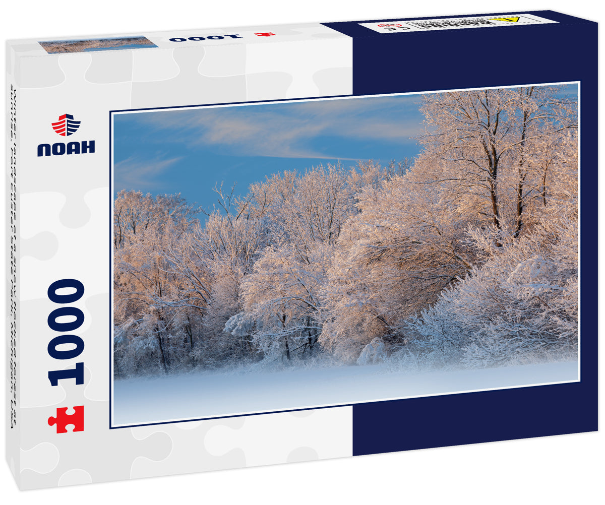 Winter landscape of a snow flocked forest at sunrise, Fort Custer State Park, Michigan, USA