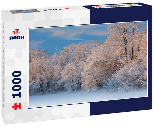 Winter landscape of a snow flocked forest at sunrise, Fort Custer State Park, Michigan, USA