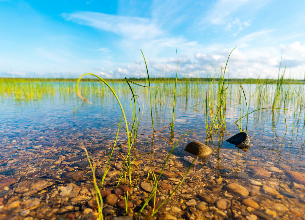 Beautiful lakeshore of Duncan Bay at Cheboygan State Park in northern Michigan