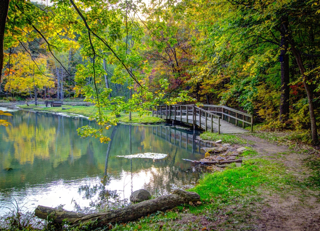 Beautiful Forest Scene. Small wooden footbridge crosses a small lake surrounded by a beautiful lush forest landscape at Fitzgerald Park in Eaton County, Michigan, USA