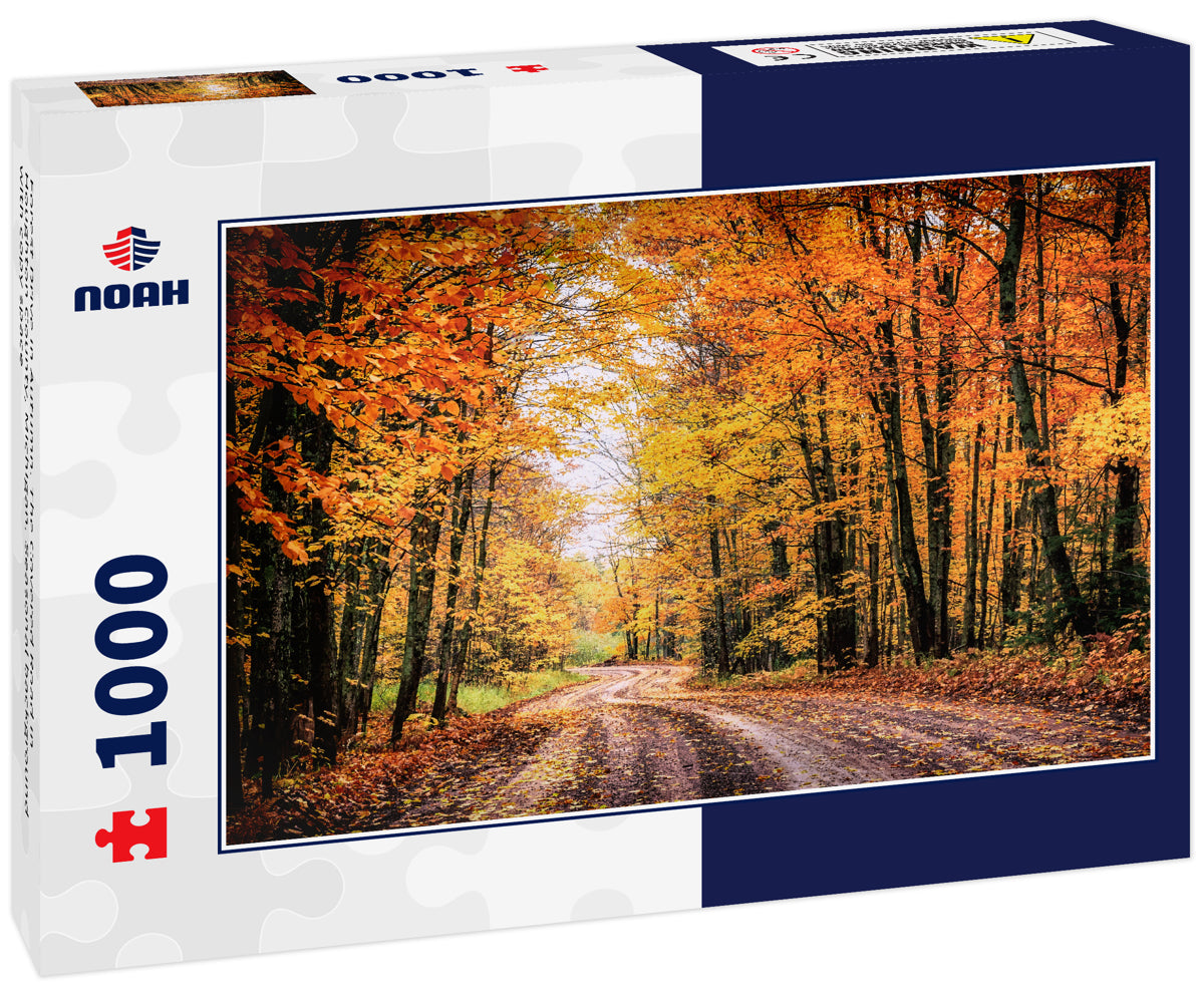 Forest Drive in Autumn. The Covered Road in Houghton County, Michigan. Seasonal background with copy space