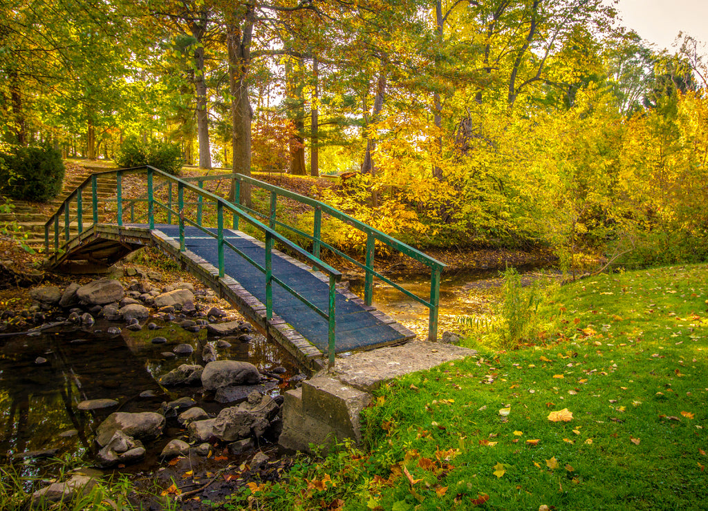 Autumn Fall Color Landscape. Small footbridge over a creek surrounded by vibrant fall foliage at a small county park in Jackson County, Michigan