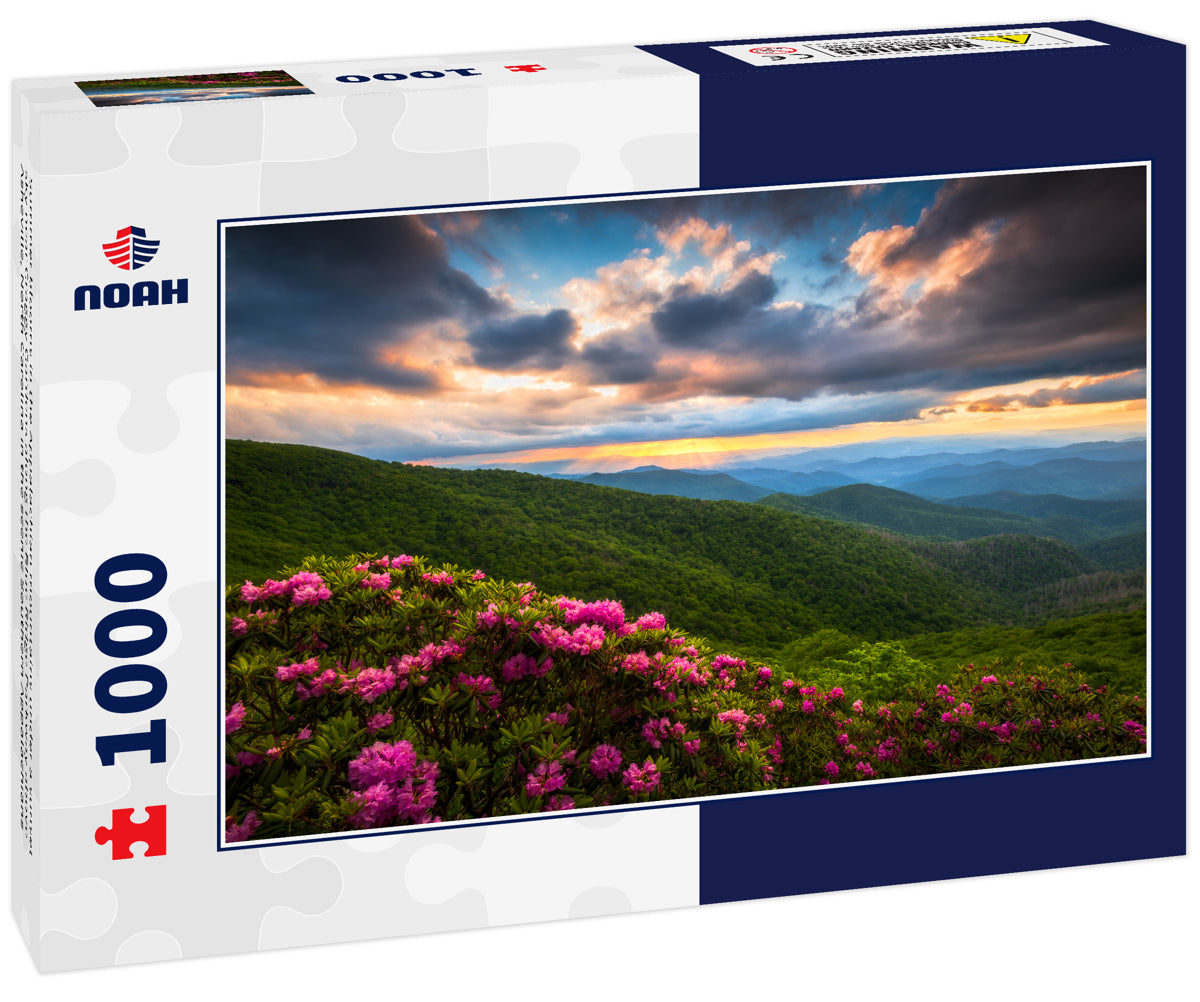 Summer blooms in the Appalachian mountains under a sunset sky near Craggy Gardens along the Blue Ridge Parkway above Asheville, North Carolina in the scenic Southern Appalachians