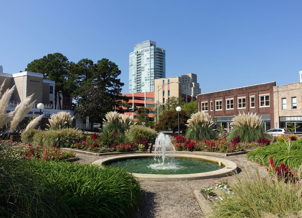 View of Durham, North Carolina from a Downtown Park