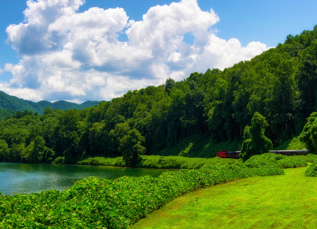 Train Ride Through Nantahala National Forest North Carolina