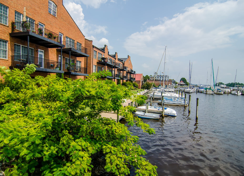 Waterfront scenes in washington North Carolina