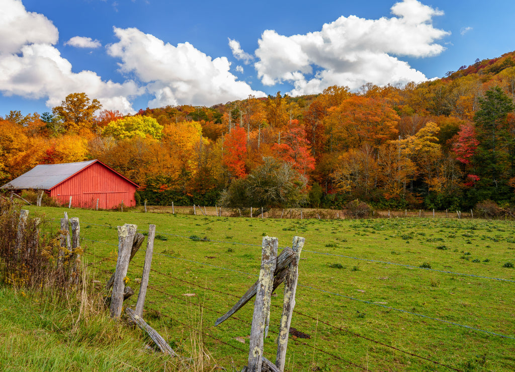 Fall off The Blue Ridge Parkway North Carolina