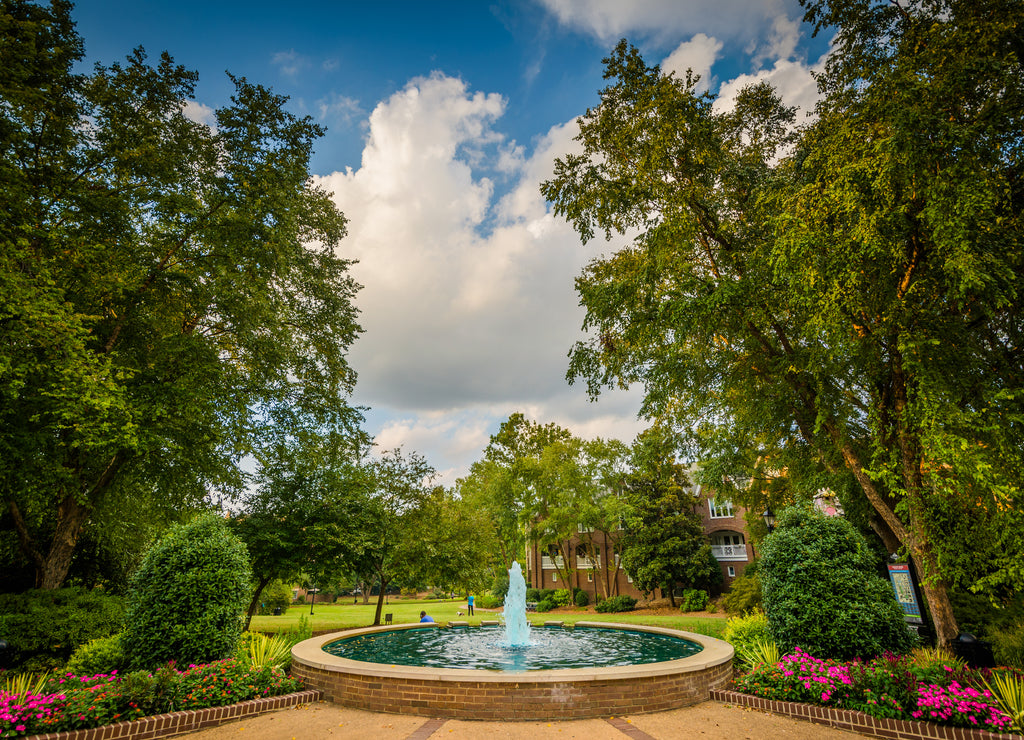 1000-piece-puzzle Fountain and gardens at Fourth Ward Park, in ...