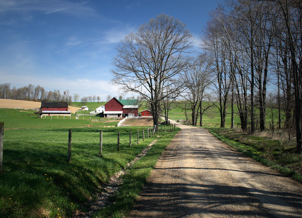 Amish Farm, Ohio