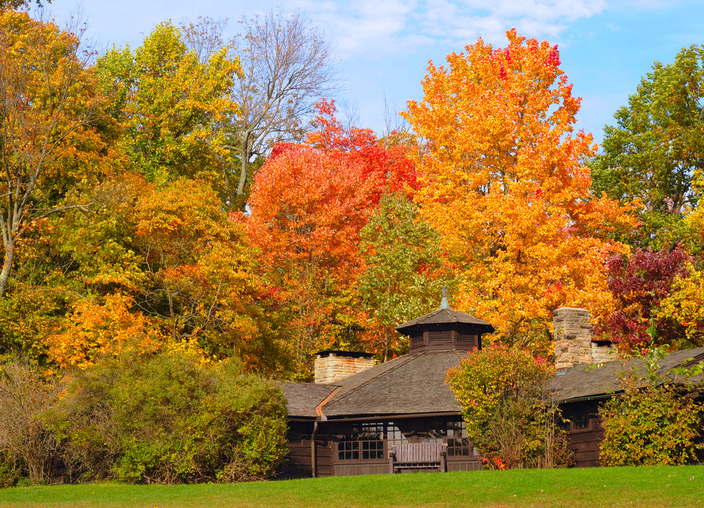 Park shelter in autumn, Ohio