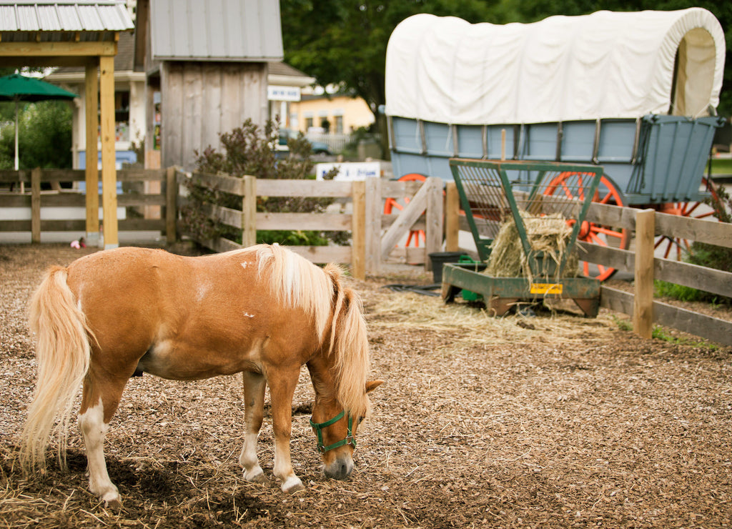 Country life, Ohio