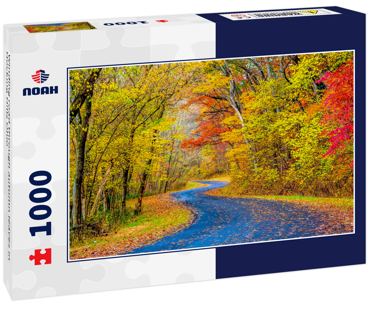 Winding road through autumn leaves in Hocking Hills Ohio