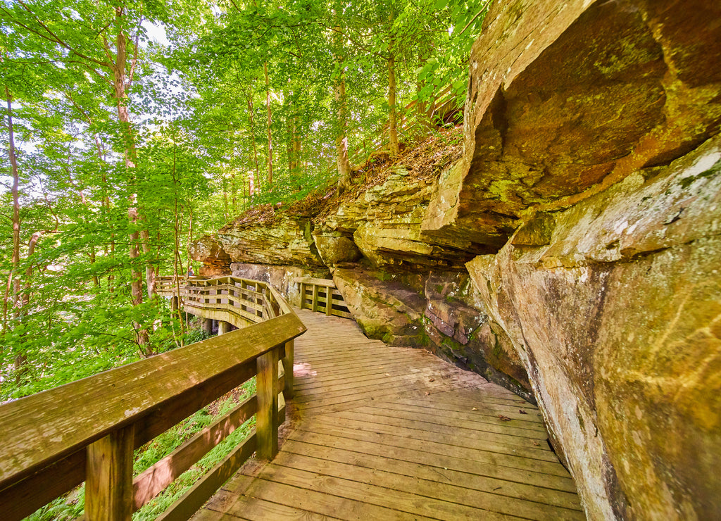 Wood Trails in Cuyahoga Valley National Park, Ohio